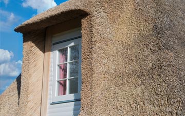Cargill thatch roof disadvantages